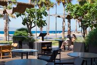 31 &copy;&nbsp;olga planas